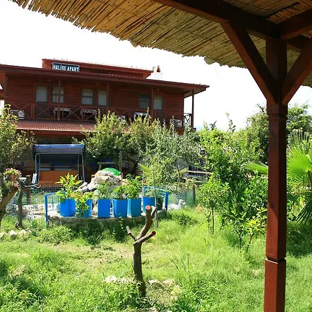 Homestay Halise *