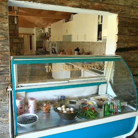 Homestay Halise Kizlan