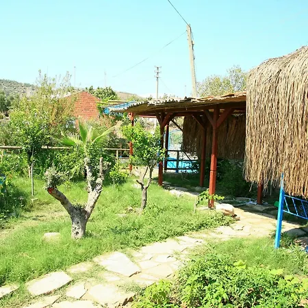 Homestay Halise *