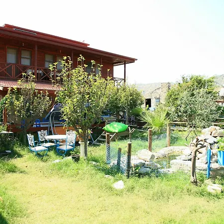 Halise Homestay *